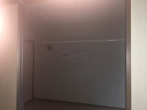 ＪＯＹＦＵＬ’ＳＨＩＢＡＮＡＫＡ A0102号-4