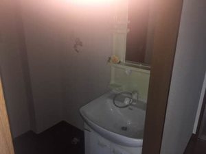 ＪＯＹＦＵＬ’ＳＨＩＢＡＮＡＫＡ A0102号-5