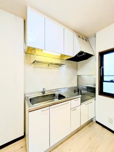 ＪＯＹＦＵＬ’ＳＨＩＢＡＮＡＫＡ A0105号-3