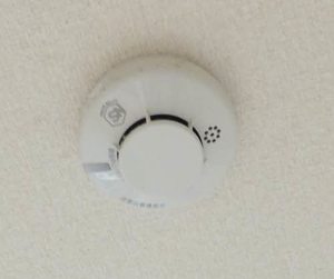 ディアス岡田　　Ｂ棟 B0101号-14