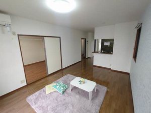 コスモス川棚 B棟 B0203号-2