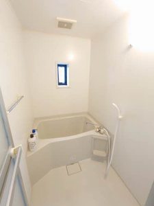 コスモス川棚 B棟 B0203号-4