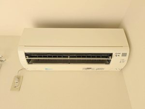 ルピナス A0102号-10
