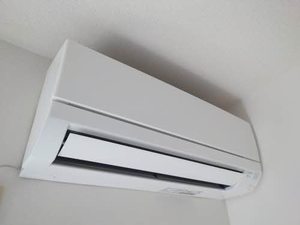 ルピナス A0202号-9