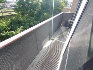 ルピナス A0202号-11