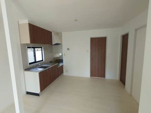 ルピナス A0202号-15