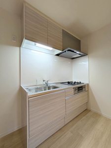 さくら館　　弐号棟 B0101号-3