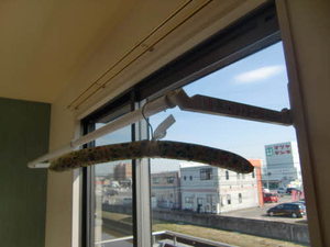 ヴァリュージュ　Ｂ棟 B0202号-14