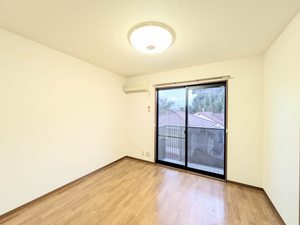 ハイランドパラツ A0204号-2