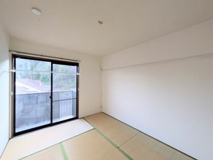 ハイランドパラツ A0204号-4