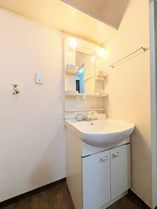 ハイランドパラツ A0204号-5