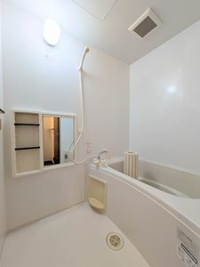 ハイランドパラツ A0204号-6