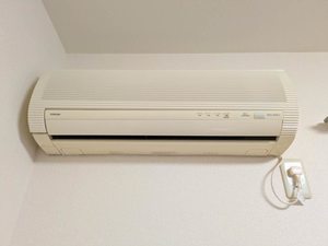 ハイランドパラツ A0204号-10