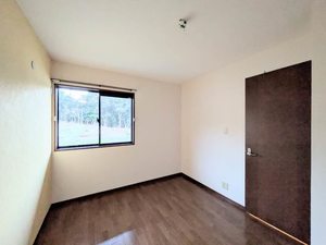 ハイランドパラツ A0204号-14