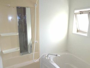 メゾンレディバード　Ａ棟 A0201号-12