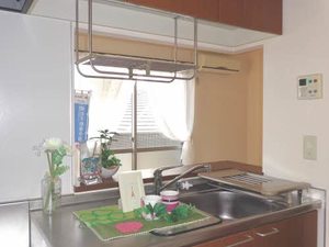 メゾンレディバード　Ａ棟 A0201号-13