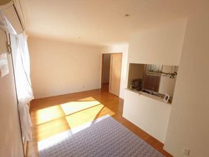 シャーメゾン ダンディライオン E棟 A0202号-11