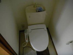 シャーメゾン　マニエール A0102号-6