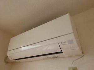 木もれ陽　二番館 B0102号-9