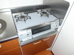 シャーメゾン岩鼻Ⅱ A0102号-12