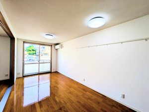 シャーメゾン・キュプラ A0103号-2