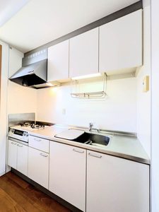 シャーメゾン・キュプラ A0103号-3