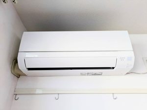 シャーメゾン・キュプラ A0103号-10