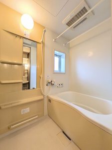 シャーメゾン・キュプラ A0202号-6