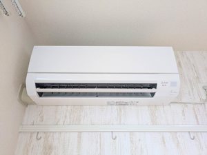 シャーメゾン・キュプラ A0202号-10