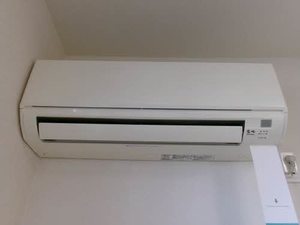 シャーメゾン ペル センプレ A0101号-13