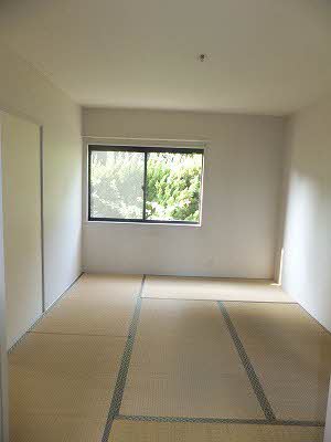 レーヴィンスKASEN 香 A0102号-10