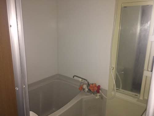 ＪＯＹＦＵＬ’ＳＨＩＢＡＮＡＫＡ A0102号-6