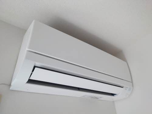 ルピナス A0202号-9