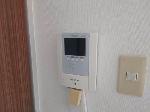 ルピナス A0202号-10