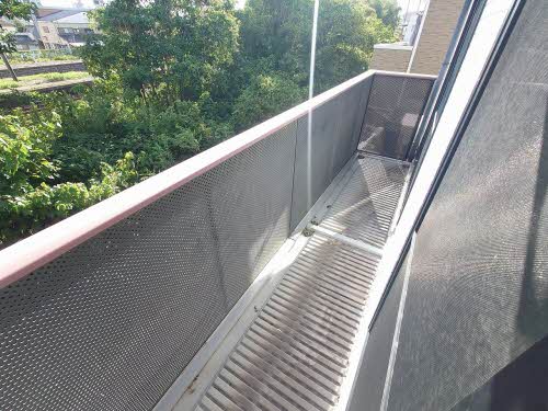 ルピナス A0202号-11