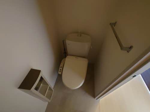 ルピナス A0202号-13