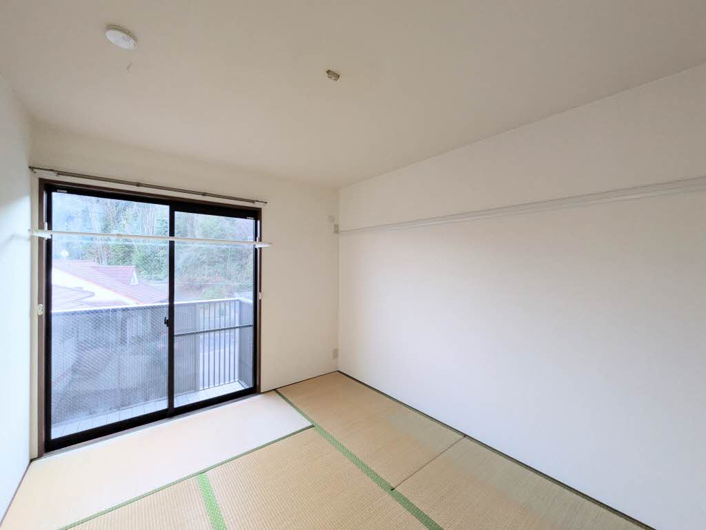 ハイランドパラツ A0204号-4