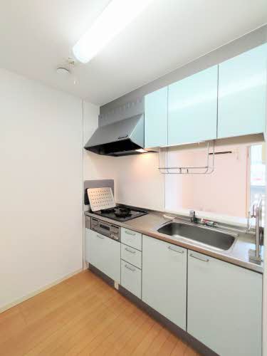 シャーメゾン　コモンゼクス A0102号-4