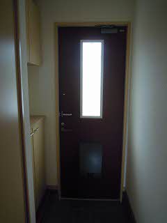 ＳｈａＭａｉｓｏｎ　ＭＡＡＭＩ A0101号-2