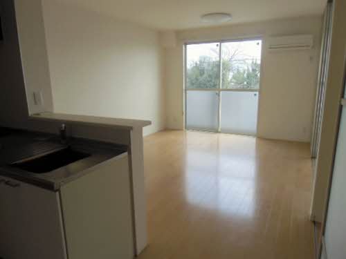 バウハウス A0201号-5