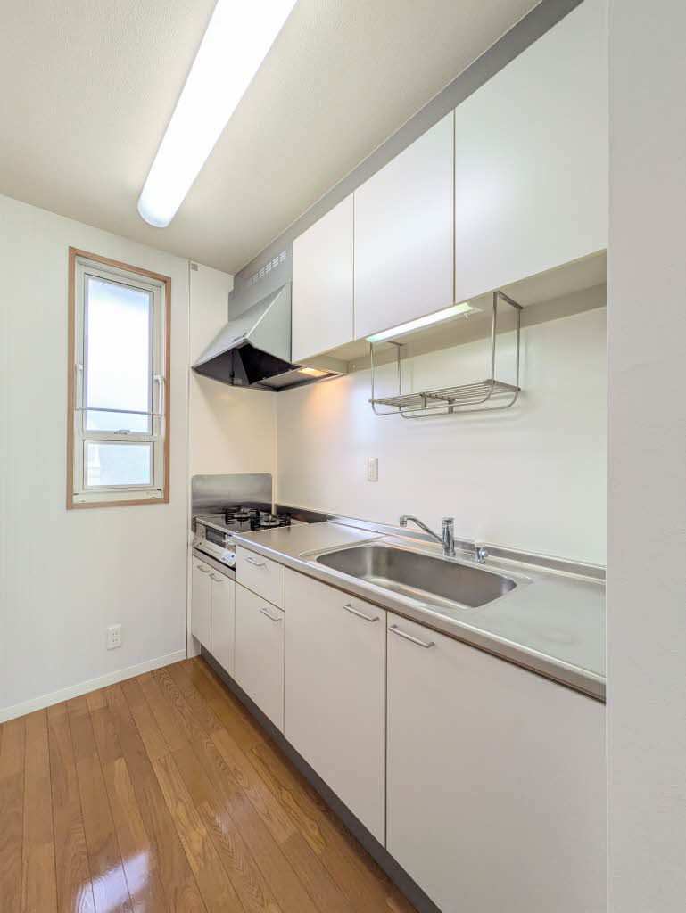 シャーメゾン・キュプラ A0202号-3