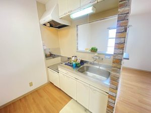 ラ・カーナ　Ｄ棟 D202号-3