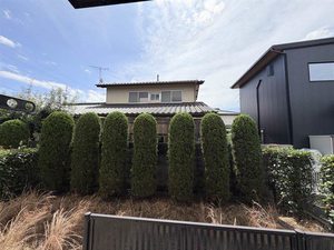 コートＭＴ　　Ｂ館 B101号-12