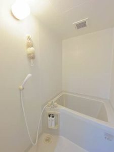 ベルメゾン　Ａ棟 A0202号-9