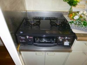 プレザントハイツ 201号-10