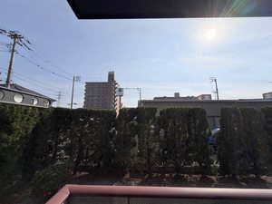 シーサイドＤＩＡＳ　Ｅ館 E0101号-12