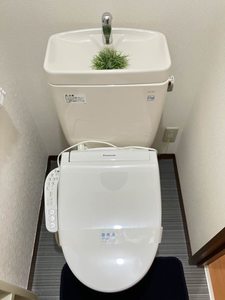 シャーメゾンＳ　Ｂ棟 B0202号-4