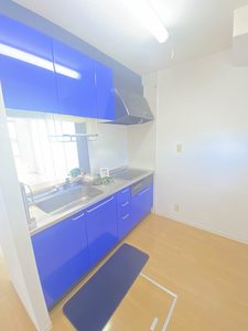 コスモコート 102号-3