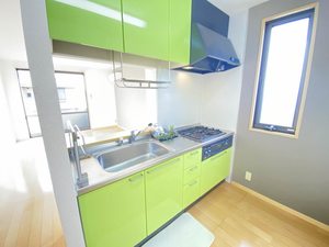 ロイヤル　フェルティ　Ｄ棟 D0202号-3