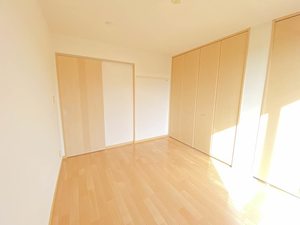 ロイヤル　フェルティ　Ｄ棟 D0202号-5